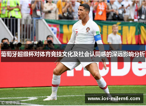 葡萄牙超级杯对体育竞技文化及社会认同感的深远影响分析