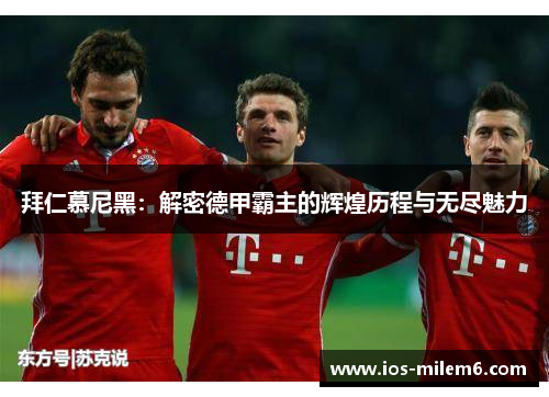 拜仁慕尼黑：解密德甲霸主的辉煌历程与无尽魅力