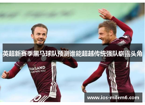 英超新赛季黑马球队预测谁能超越传统强队崭露头角