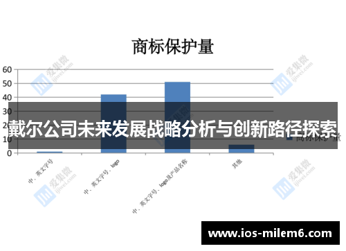 戴尔公司未来发展战略分析与创新路径探索