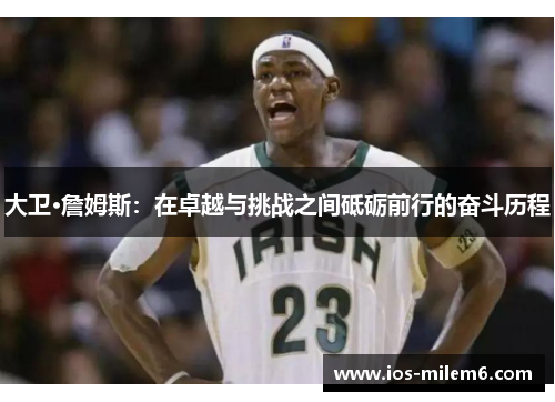 大卫·詹姆斯：在卓越与挑战之间砥砺前行的奋斗历程