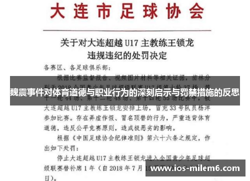 魏震事件对体育道德与职业行为的深刻启示与罚禁措施的反思 魏震事件对体育道德与职业行为的深刻启示与罚禁措施的反思