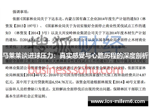 马莱莱谈进球压力：真实感受与心路历程的深度剖析