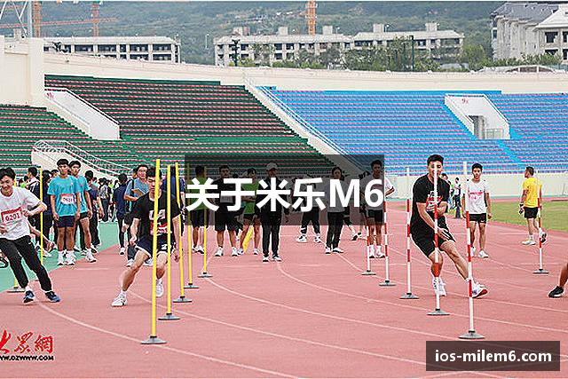 关于米乐M6